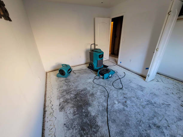 Best Sewage cleanup and water damage restoration  in Warrensburg, IL