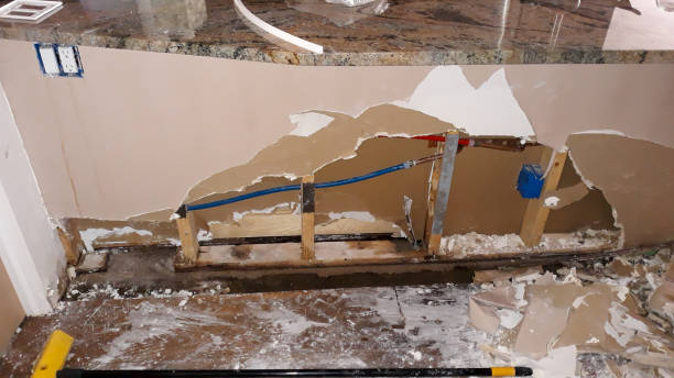 Best Water damage restoration insurance claims  in Warrensburg, IL