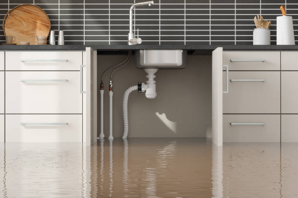 Best Water damage cleanup near me  in Warrensburg, IL