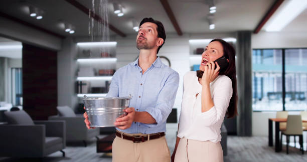Best Fire Damage Restoration  in Warrensburg, IL