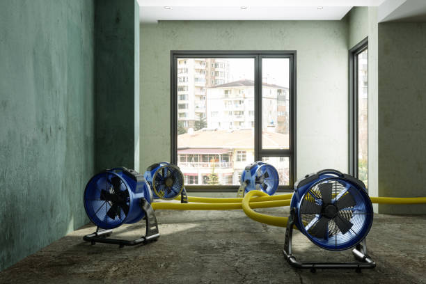 Best Water damage cleanup near me  in Warrensburg, IL
